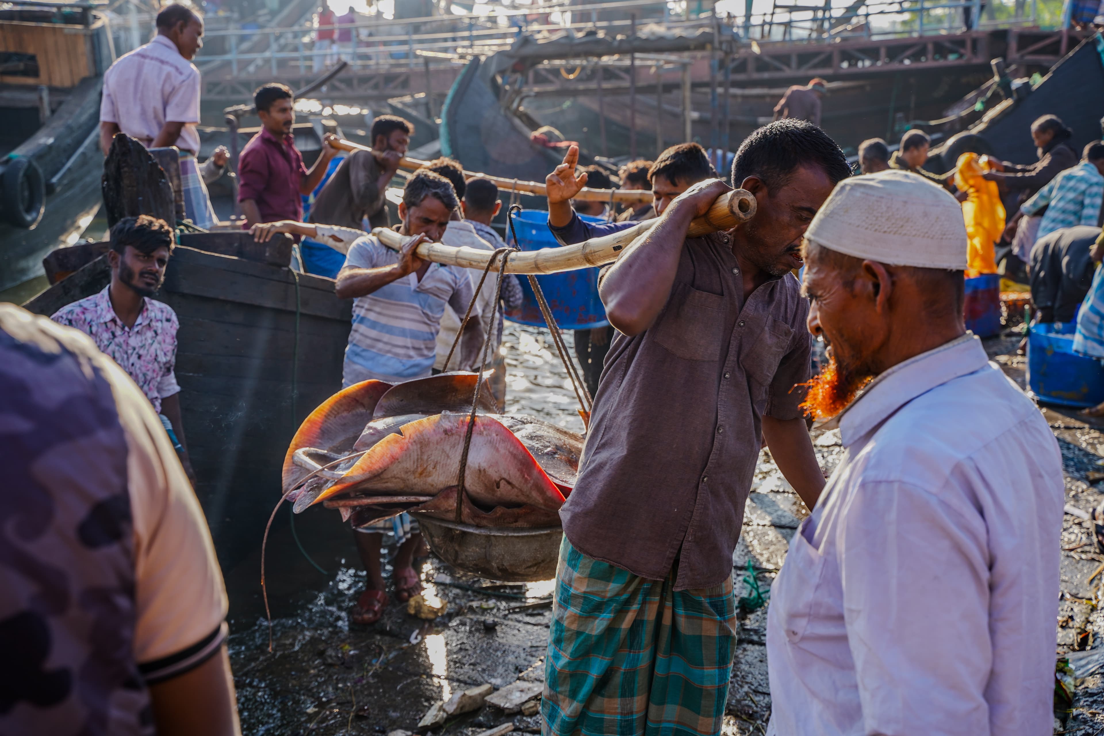 Fisheries in Bangladesh